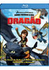 COMO TREINAR SEU DRAG&Atilde;O EM BLU-RAY
