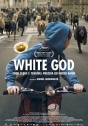 White God