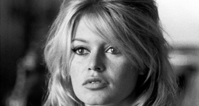 Brigitte Bardot 85 anos Brigitte Bardot 85 anos