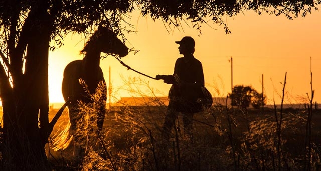 RESENHA CRÍTICA: A Rota Selvagem (Lean on Pete) RESENHA CRÍTICA: A Rota Selvagem (Lean on Pete)