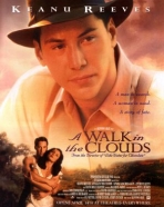 Caminhando nas Nuvens