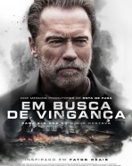 Em Busca De Vingança