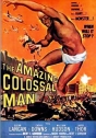 Invrível Homem Colossal, O