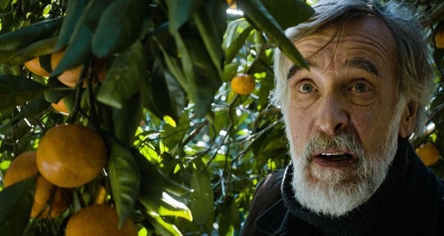 OSCAR 2015 - RESENHA: Mandariinid (Tangerinas)