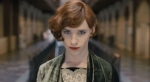 RESENHA CRÍTICA OSCAR 2016: A Garota Dinamarquesa (The Danish Girl)