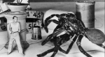 Gigantes e Miniaturas - O Fascinio Cinematografico pelo Tamanho Humano