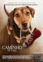 Caminho de Casa, A