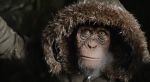 RESENHA CRÍTICA: Planeta dos Macacos A Guerra (War for the Planet of the Apes)