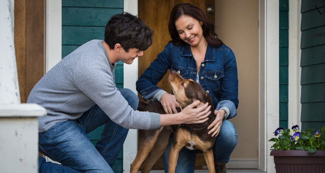 RESENHA CRÍTICA: A Caminho de Casa (A Dog´s Way Home)