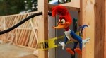 RESENHA CRÍTICA: Pica-Pau: O Filme (Woody Woodpecker)