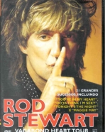 Rod Stewart: Vagabond Heart Tour