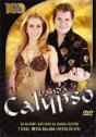 Banda Calypso: 100%