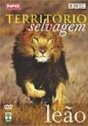 Território Selvagem - Leão