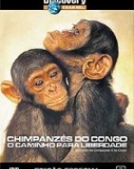 Chimpanzés do Congo – O Caminho para Liberdade