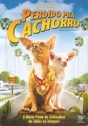 Perdido Pra Cachorro