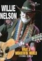 Willie Nelson: What a Wonderful World – Standards by Willie