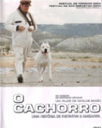 Cachorro, O