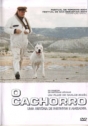 Cachorro, O