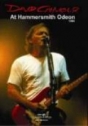 David Gilmour: At the Hammersmith Odeon