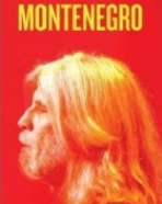 Oswaldo Montenegro: Quebra-Cabeça Elétrico