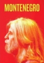 Oswaldo Montenegro: Quebra-Cabeça Elétrico