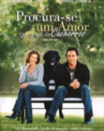 Procura-se um Amor Que Goste de Cachorros