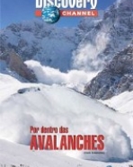 Por Dentro das Avalanches