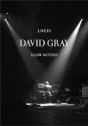 David Gray – Live in Slow Motion